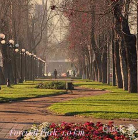 A11fantasilandia E Gratis Santiago de Chile